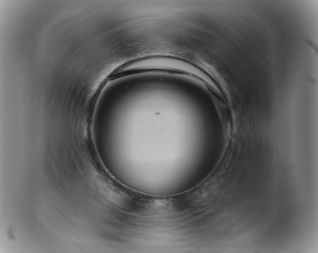 X0000099490060200805151417
