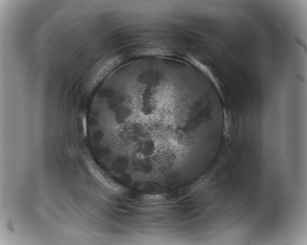 X0000099490061200805151417