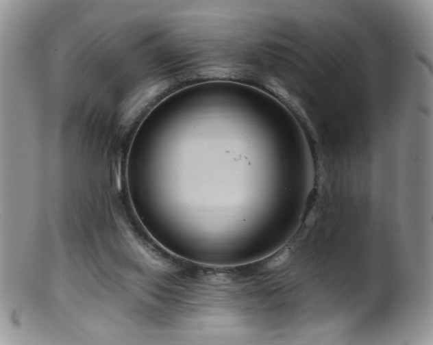 X0000099490062200805151417