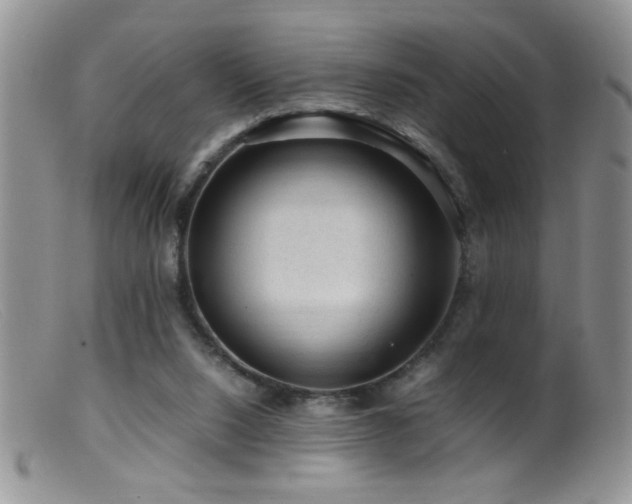 X0000099490064200805151417