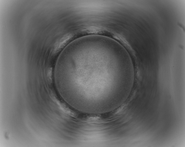 X0000099490066200805151417