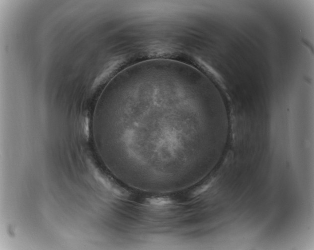X0000099490067200805151417
