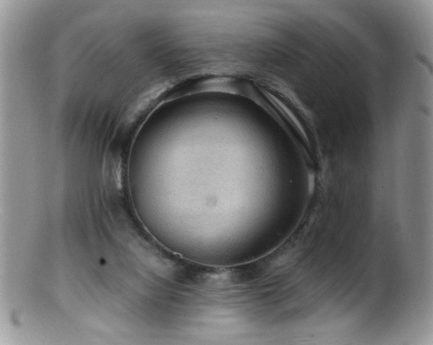 X0000099490068200805151417