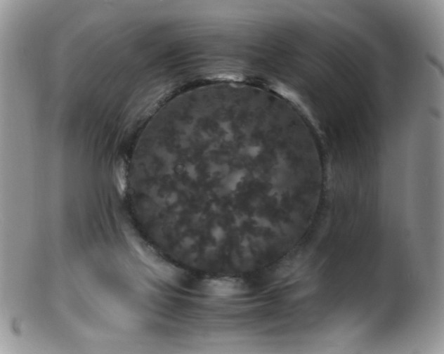 X0000099490069200805151417