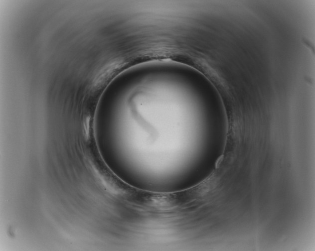 X0000099490070200805151417