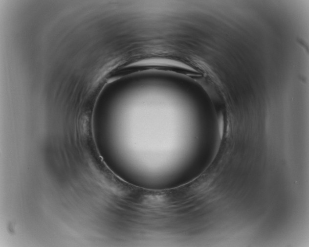 X0000099490071200805151417