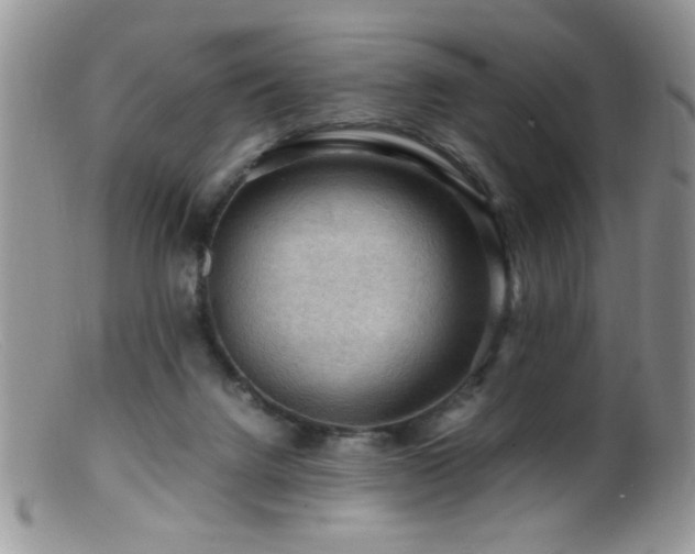 X0000099490072200805151417