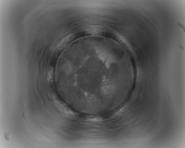 X0000099490073200805151417