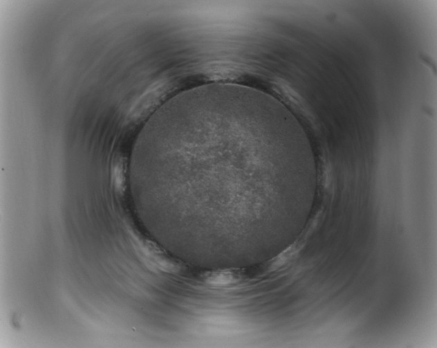 X0000099490074200805151417