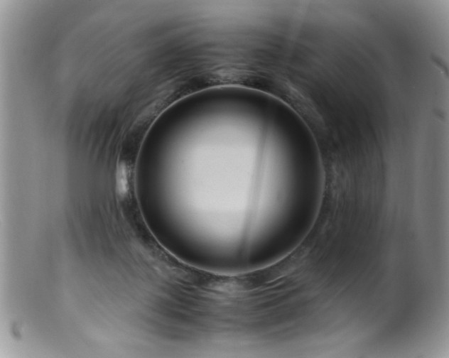 X0000099490075200805151417