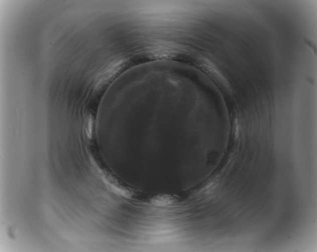 X0000099490076200805151417