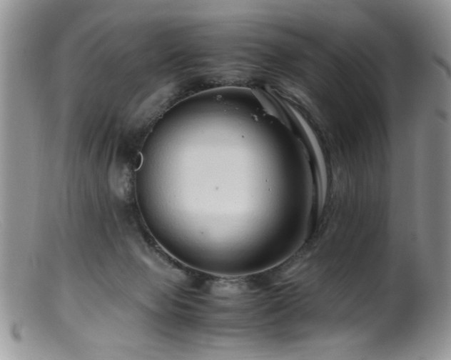 X0000099490077200805151417