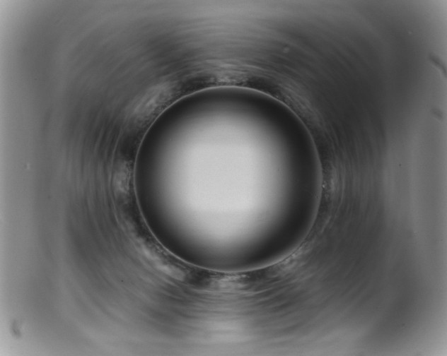 X0000099490078200805151417