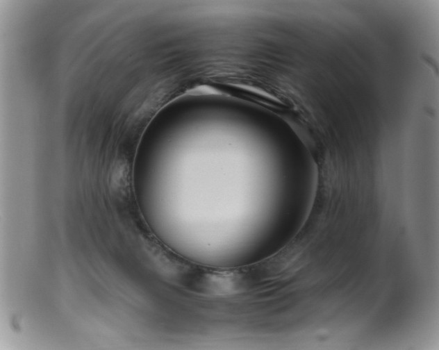 X0000099490079200805151417
