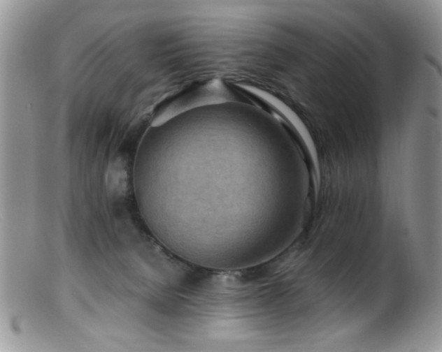 X0000099490080200805151417