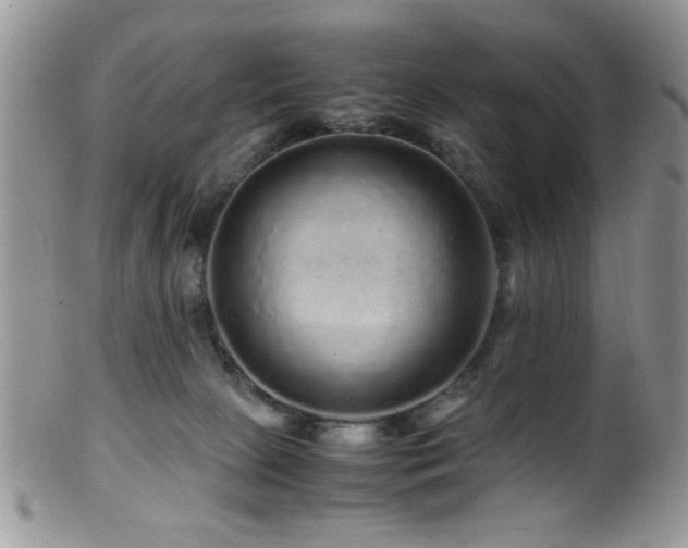 X0000099490081200805151417