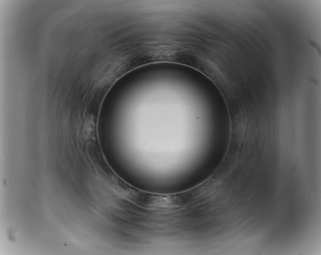 X0000099490083200805151417
