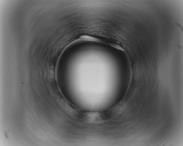 X0000099490085200805151417