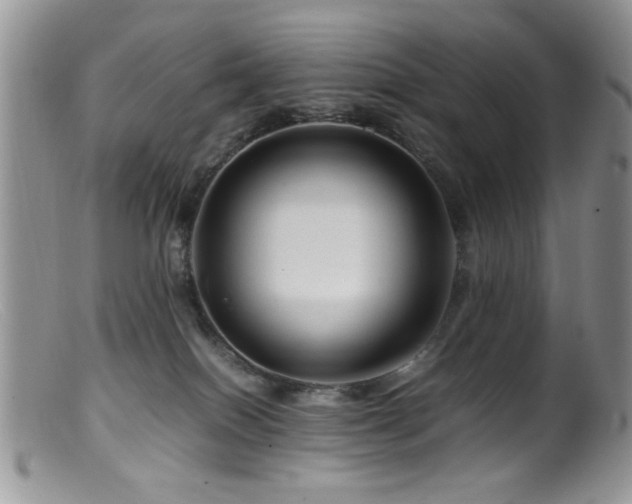 X0000099490086200805151417