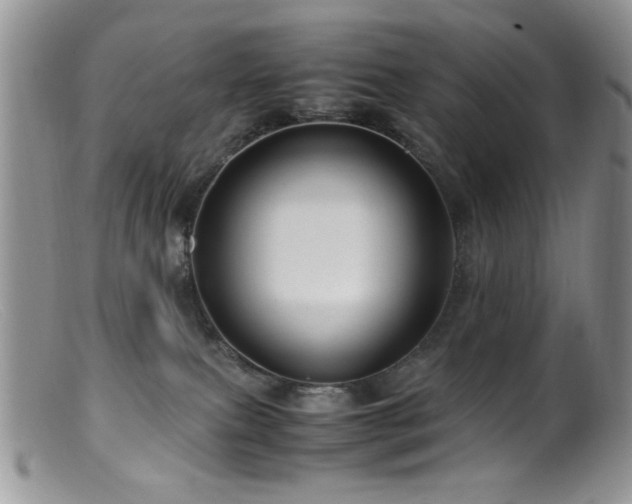 X0000099490087200805151417