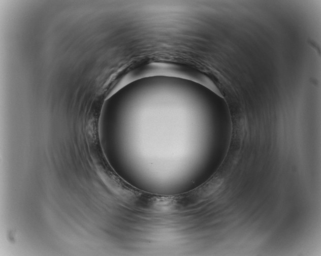 X0000099490088200805151417