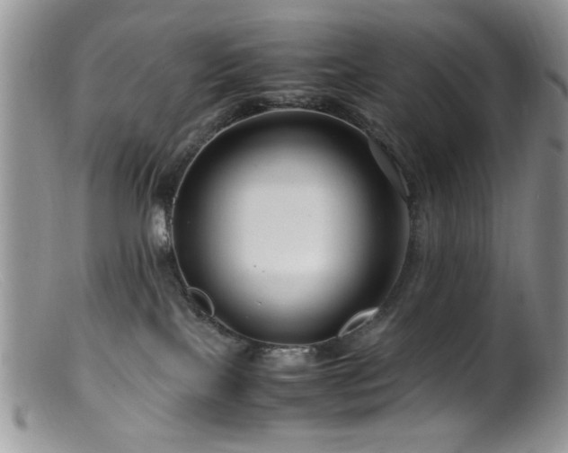 X0000099490089200805151417