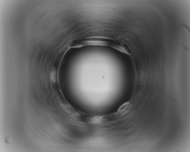 X0000099490090200805151417