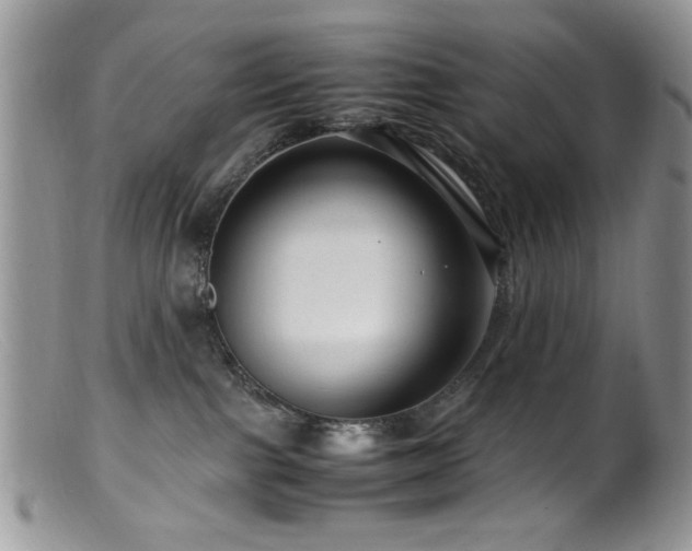 X0000099490091200805151417