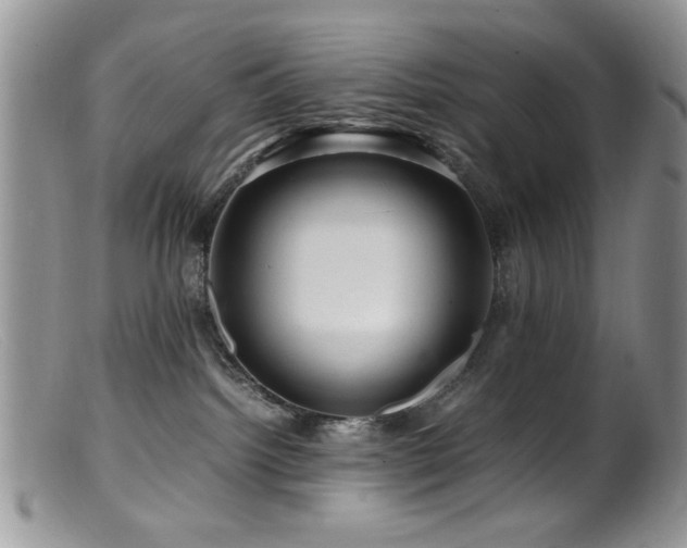 X0000099490092200805151417