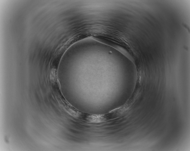 X0000099490093200805151417