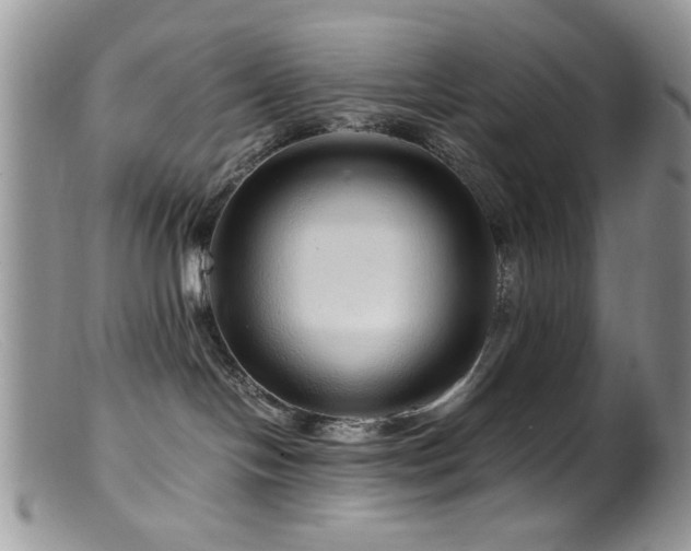 X0000099490094200805151417