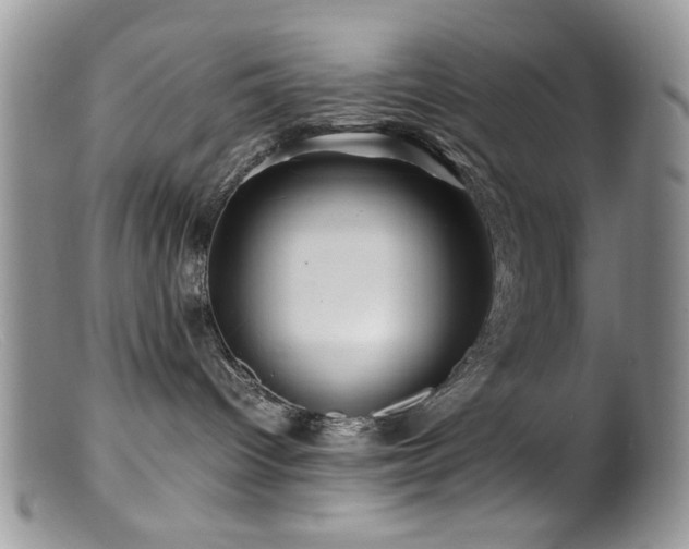 X0000099490096200805151417