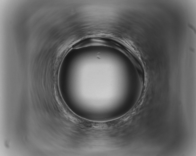 X0000099490097200805151417