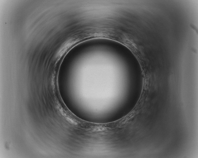 X0000099490098200805151417