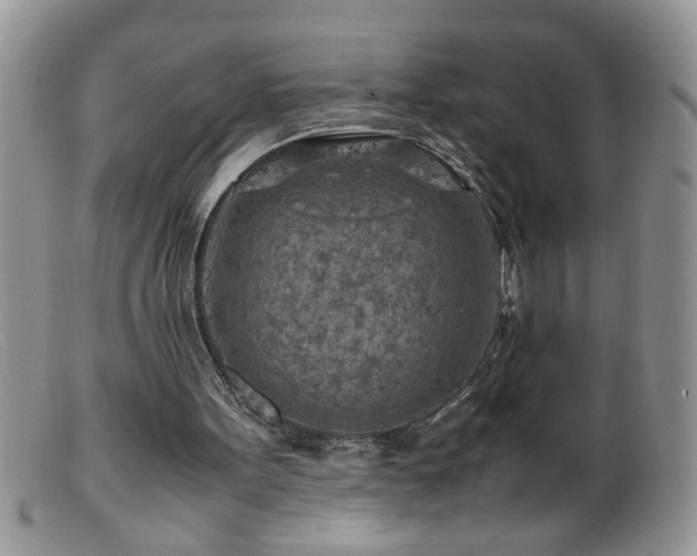 X0000099490099200805151417