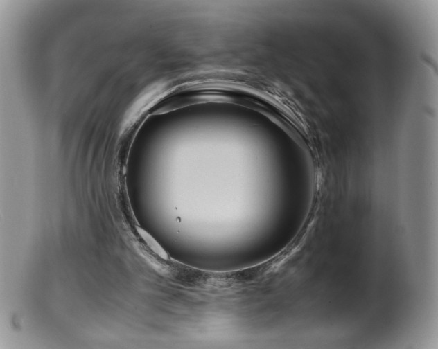 X0000099490101200805151417