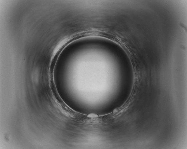 X0000099490102200805151417