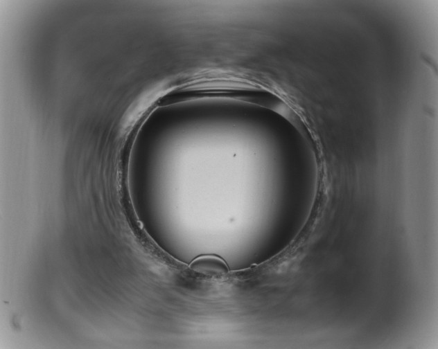 X0000099490103200805151417