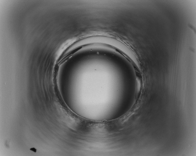 X0000099490104200805151417