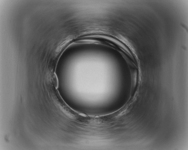 X0000099490105200805151417