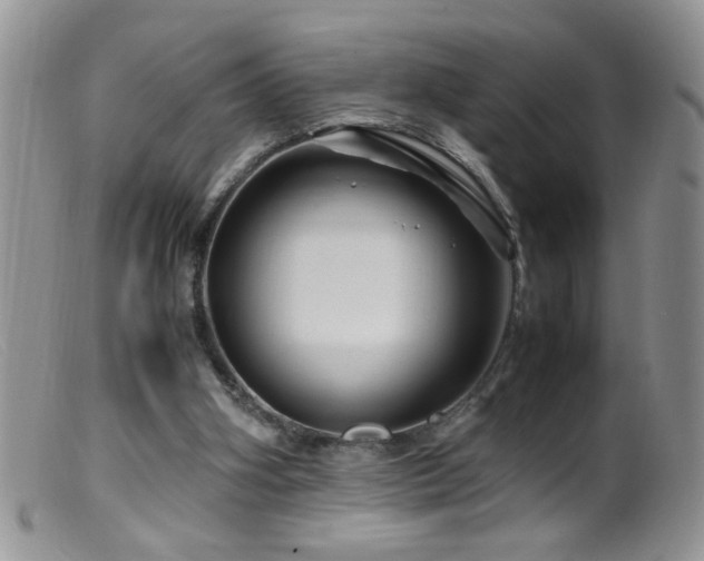 X0000099490106200805151417