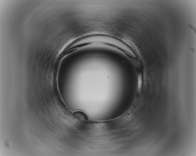 X0000099490108200805151416