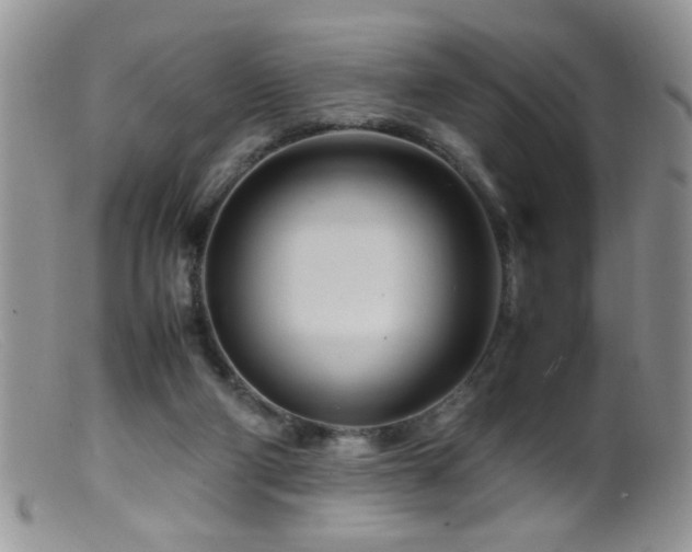 X0000099490114200805151416