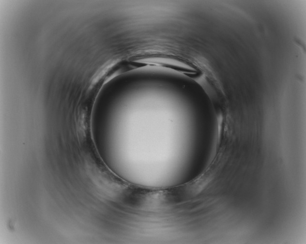 X0000099490116200805151416