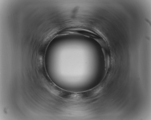 X0000099490117200805151416