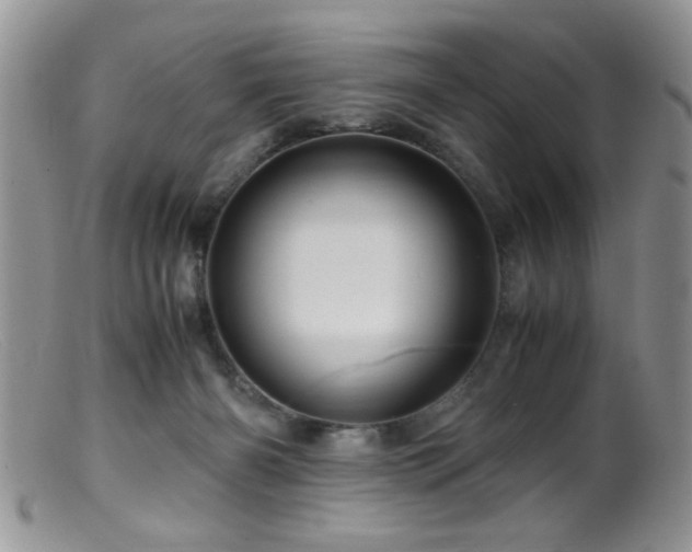 X0000099490126200805151416
