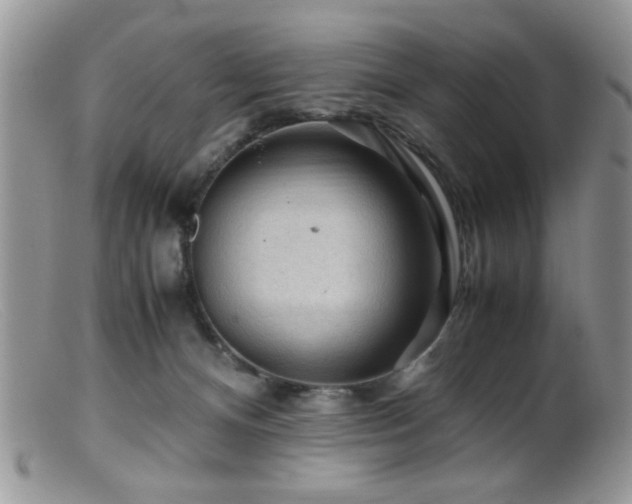 X0000099490128200805151416