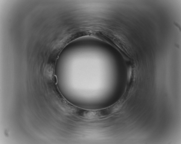 X0000099490129200805151416