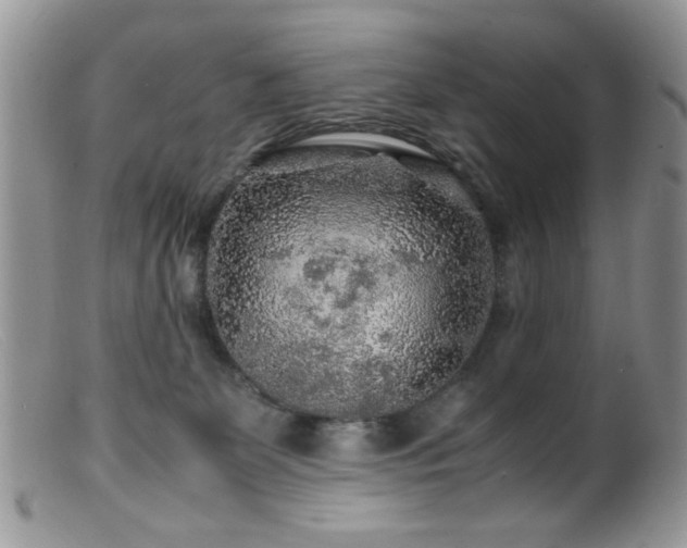 X0000099490131200805151416