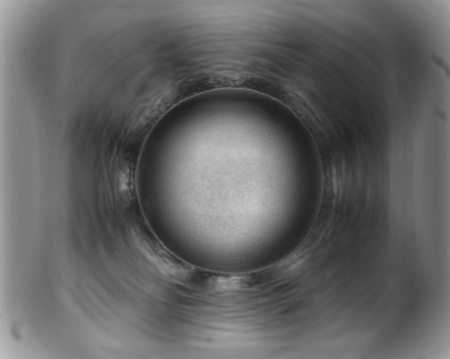X0000099490134200805151416